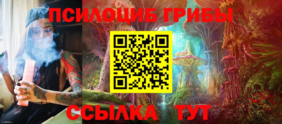 Карачаевск  Галлюциногенные грибы MAGIC MUSHROOMS  купить   Вход с VPN 